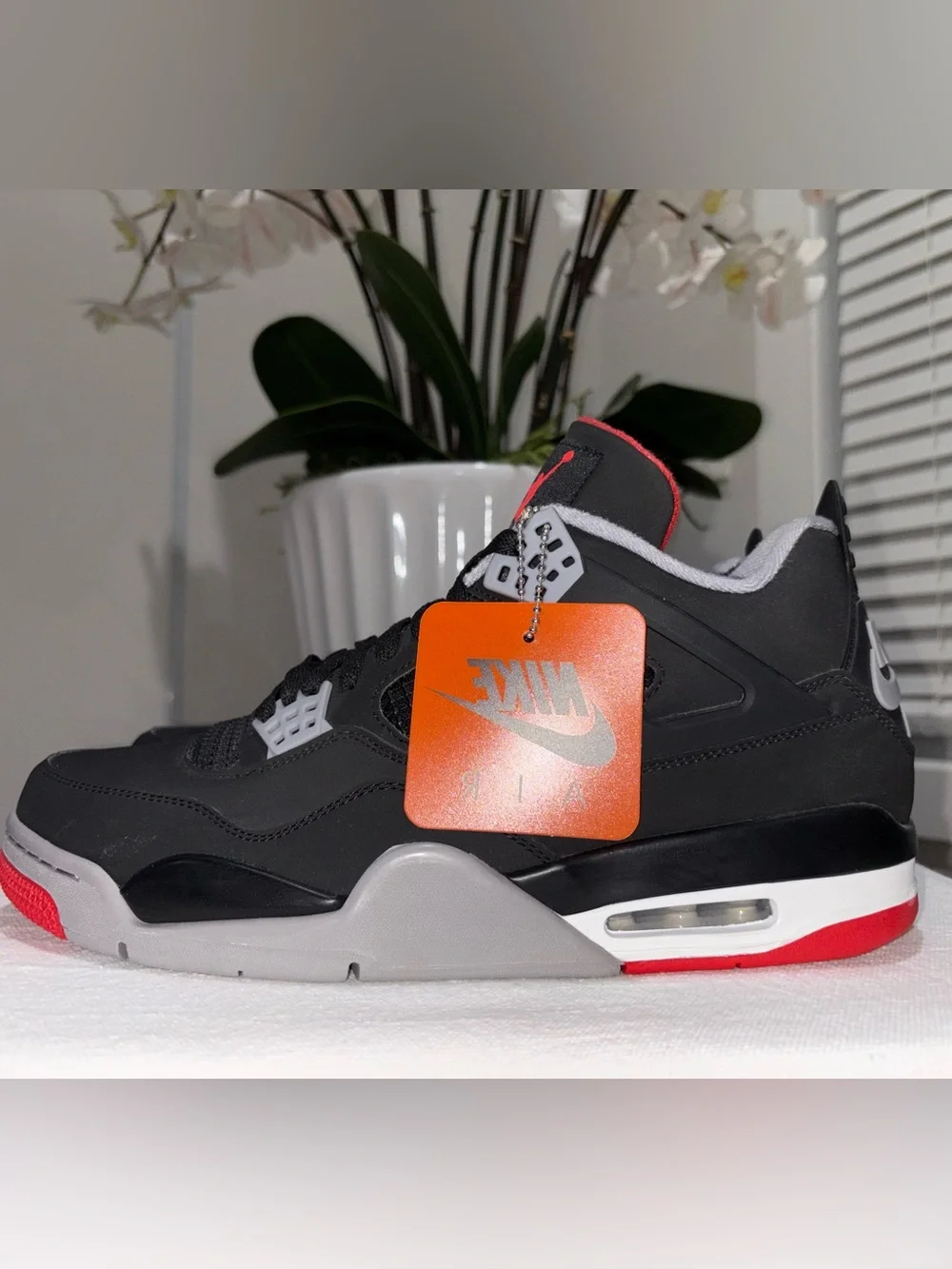 Jordan iconic design